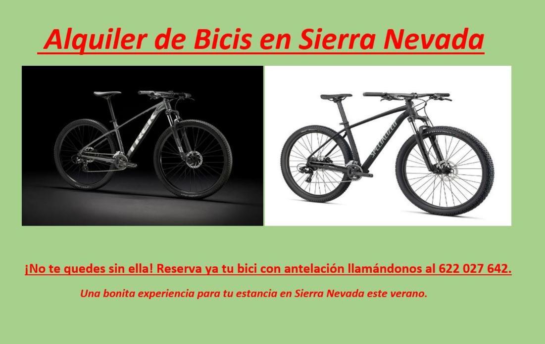 Todosierranevada Zona Baja -Plaza Principal-Junto A Los Telecabinas Sierra Nevada Eksteriør billede